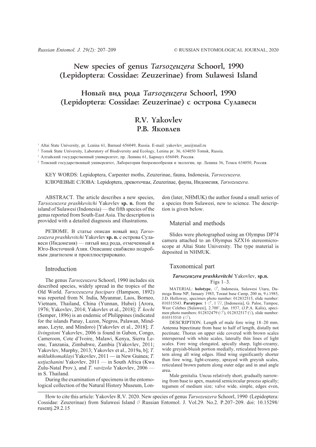 New Species of Genus Tarsozeuzera Schoorl, 1990 (Lepidoptera: Cossidae: Zeuzerinae) from Sulawesi Island Новый Вид Ро