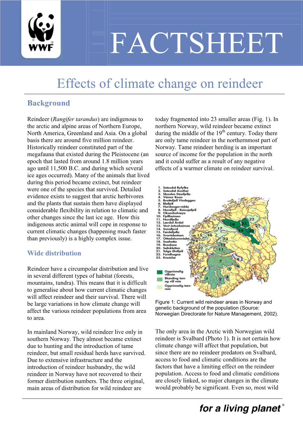 Effects of Climate Change on Reindeer