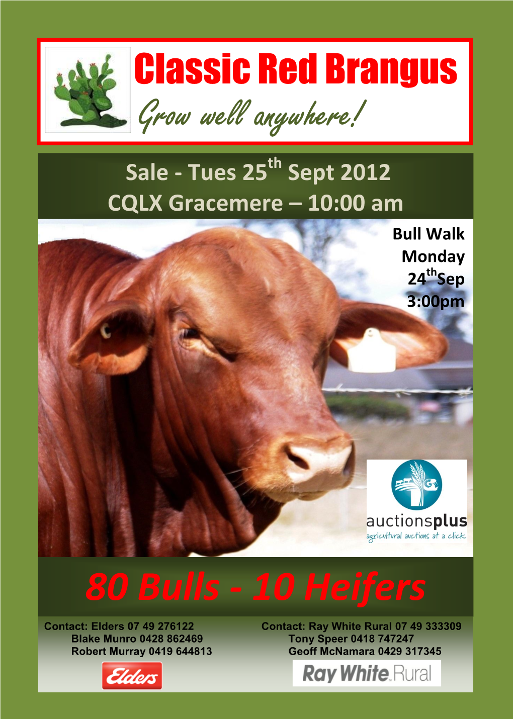 80 Bulls - 10 Heifers