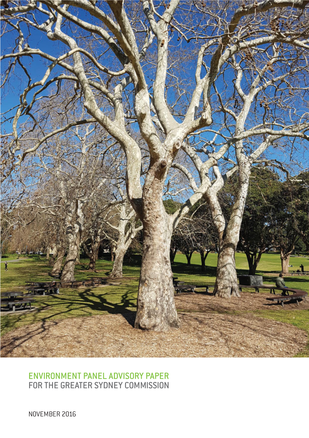 Environment Panel Advisory Paper for the Greater Sydney Commission