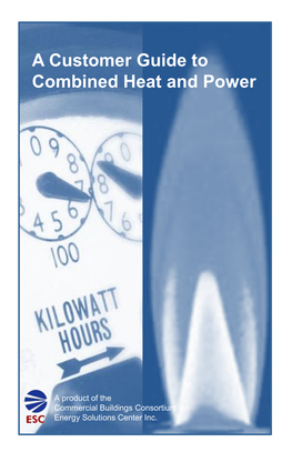 A Customer Guide to Combined Heat and Power