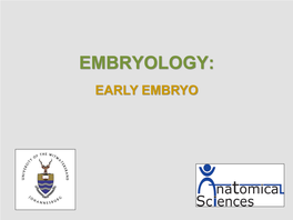 EMBRYOLOGY: EARLY EMBRYO This Picture Shows the Three (3) Phases of Fertilization