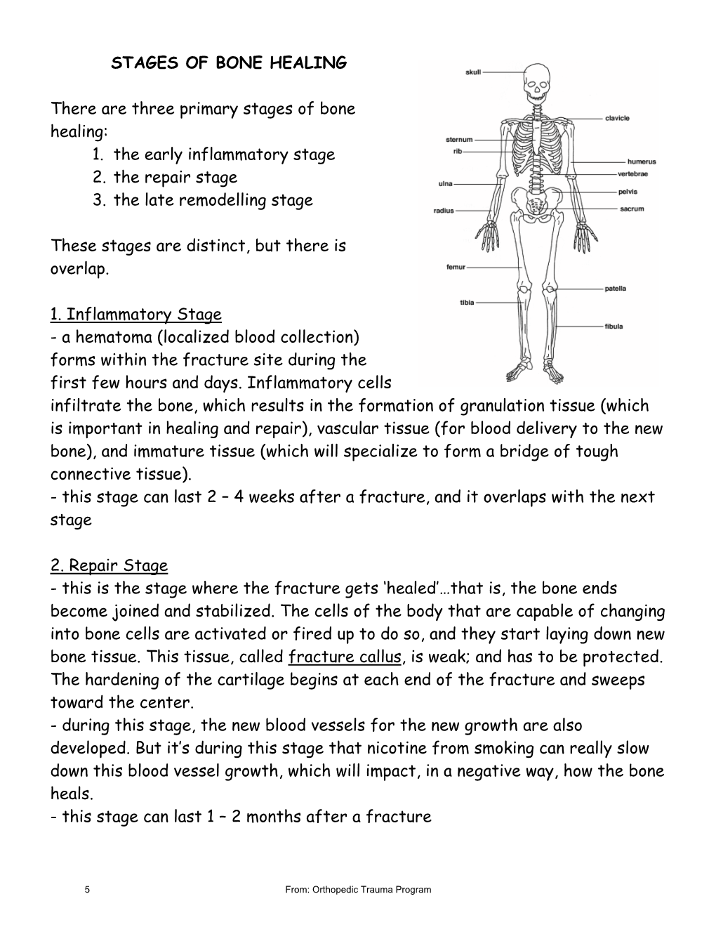 5-stages-of-bone-healing-process-fracture-classification-5-p-s