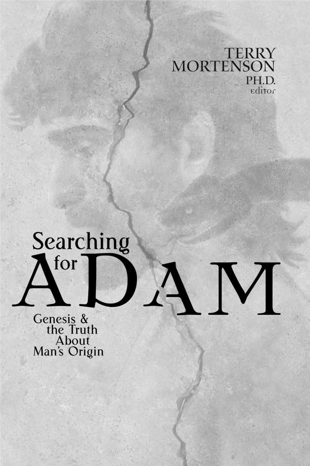 Searching for Adam