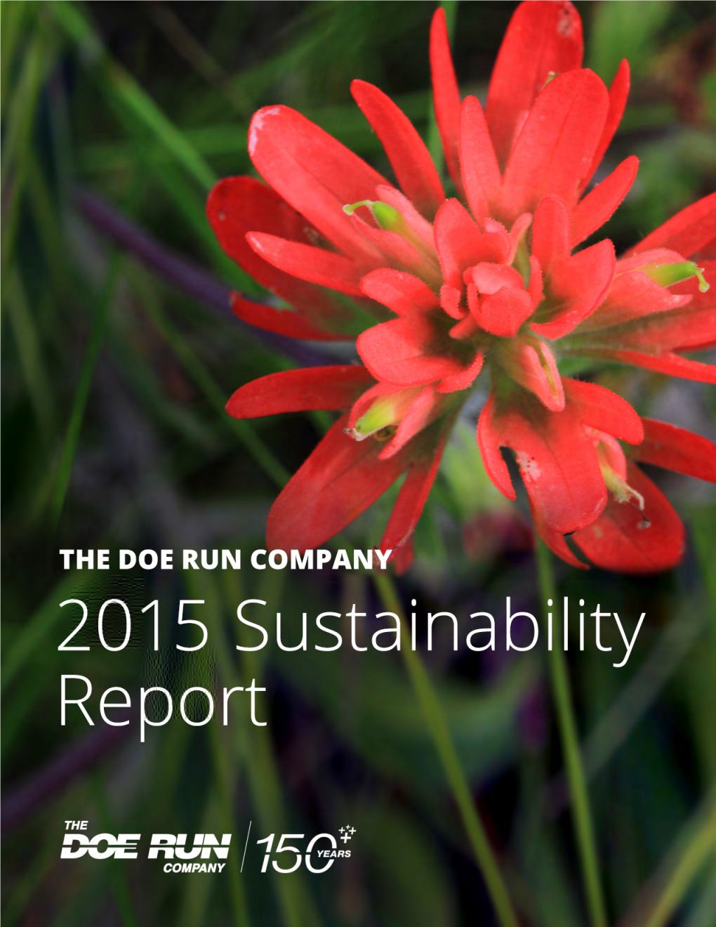 Sustainability Report 2015