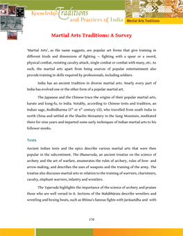 Martial Arts Traditions: a Survey