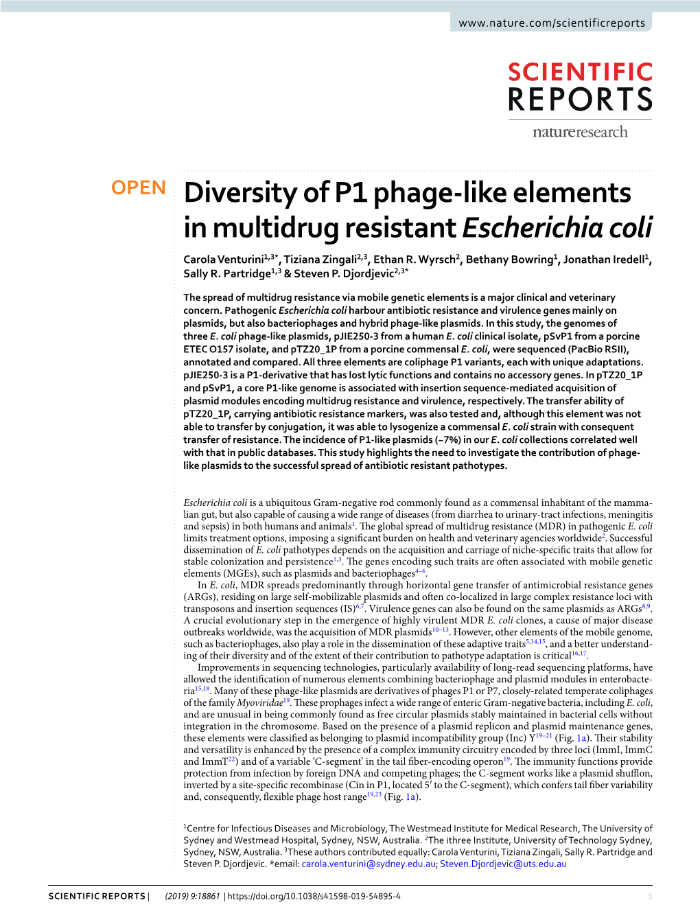 Diversity of P1 Phage-Like Elements in Multidrug Resistant Escherichia Coli Carola Venturini1,3*, Tiziana Zingali2,3, Ethan R