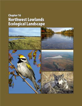 Northwest Lowlands Ecological Landscape