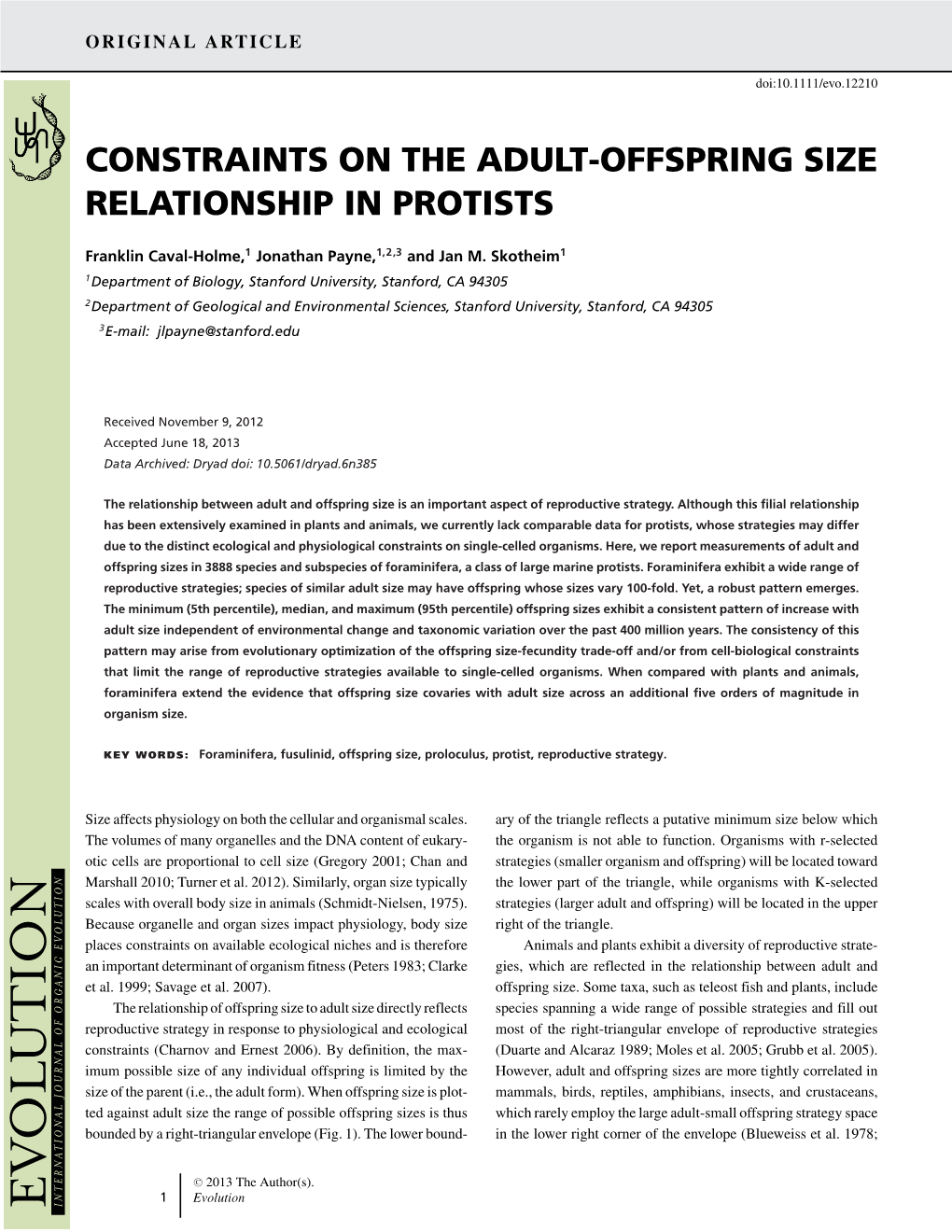 Constraints on the Adult-Offspring Size Relationship in Protists