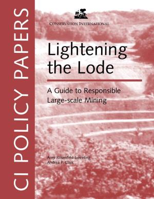 Lightening the Lode: a Guide to Responsible Large-Scale Mining