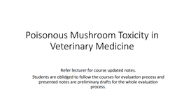 Poisonous Mushroom Toxicity in Veterinary Medicine General Information