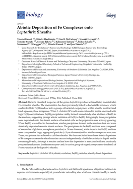 Abiotic Deposition of Fe Complexes Onto Leptothrix Sheaths