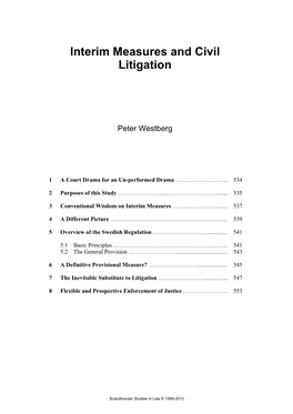 Interim Measures and Civil Litigation