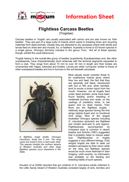 Information Sheet Flightless Carcass Beetles