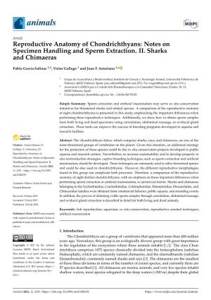 Notes on Specimen Handling and Sperm Extraction. II. Sharks and Chimaeras
