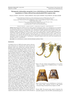 Phylogenetic Relationships Among the Leiurus Abdullahbayrami (Scorpiones: Buthidae) Populations in Turkey Inferred from Mitochondrial DNA Sequence Data