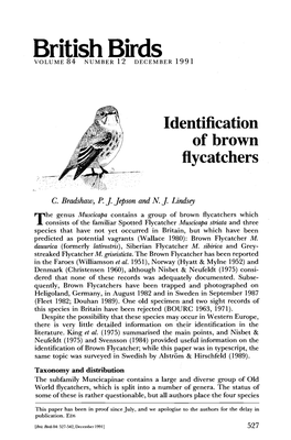 Identification of Brown Flycatchers