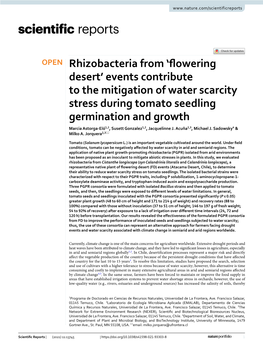 Rhizobacteria from 'Flowering Desert' Events Contribute to the Mitigation of Water Scarcity Stress During Tomato Seedling Ge