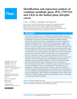 Identification and Expression Analysis of Cytokinin Metabolic Genes Ipts