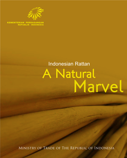 A Natural Rattan Indonesian Marvel