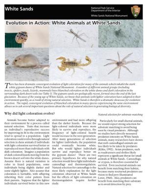 Evolution in Action White Animals at White Sands