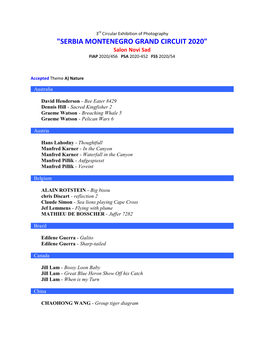 "SERBIA MONTENEGRO GRAND CIRCUIT 2020" Salon Novi Sad FIAP 2020/456 PSA 2020-452 FSS 2020/54