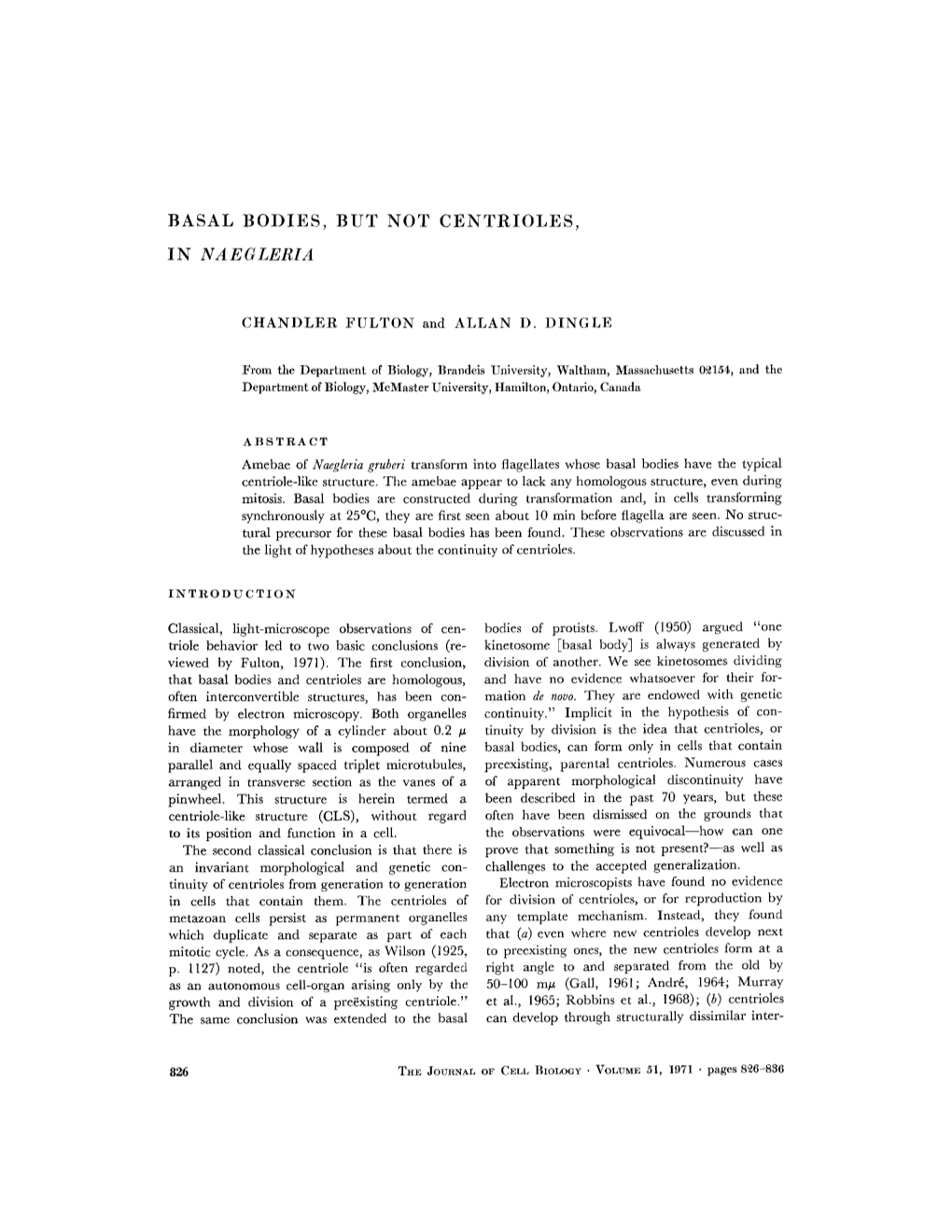 Basal Bodies, but Not Centrioles, in Naegleria