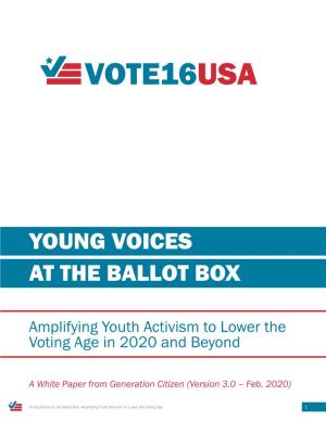 The 2020 White Paper "Young Voices at the Ballot Box"