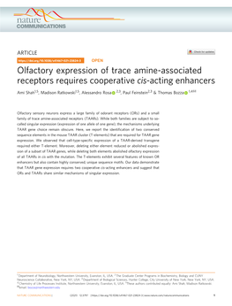 Olfactory Expression of Trace Amine-Associated Receptors