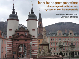 Iron Transport Proteins: Gateways of Cellular and Systemic Iron Homeostasis