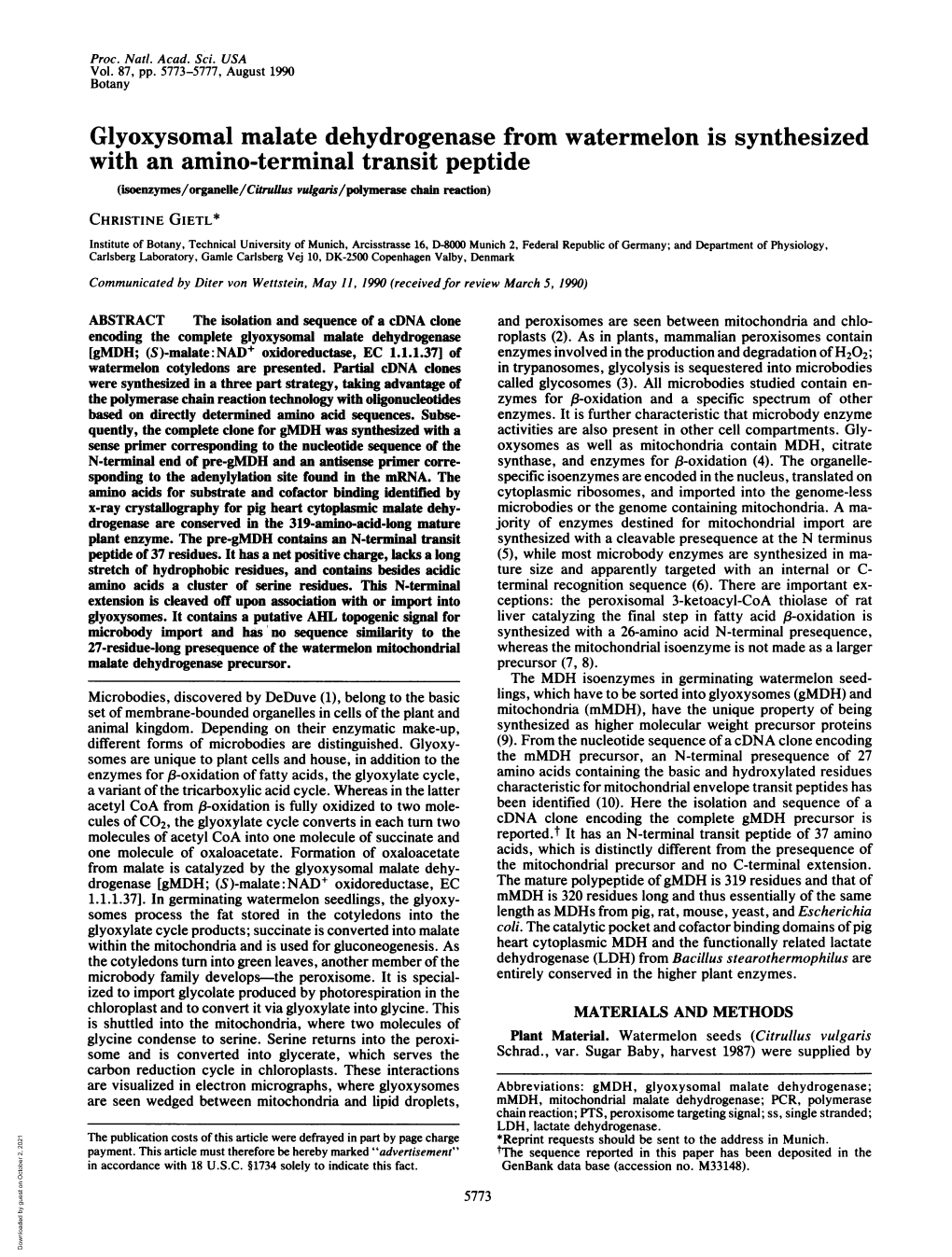 Glyoxysomal Malate Dehydrogenase from Watermelon Is Synthesized