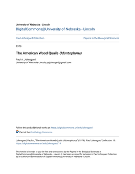 The American Wood Quails Odontophorus