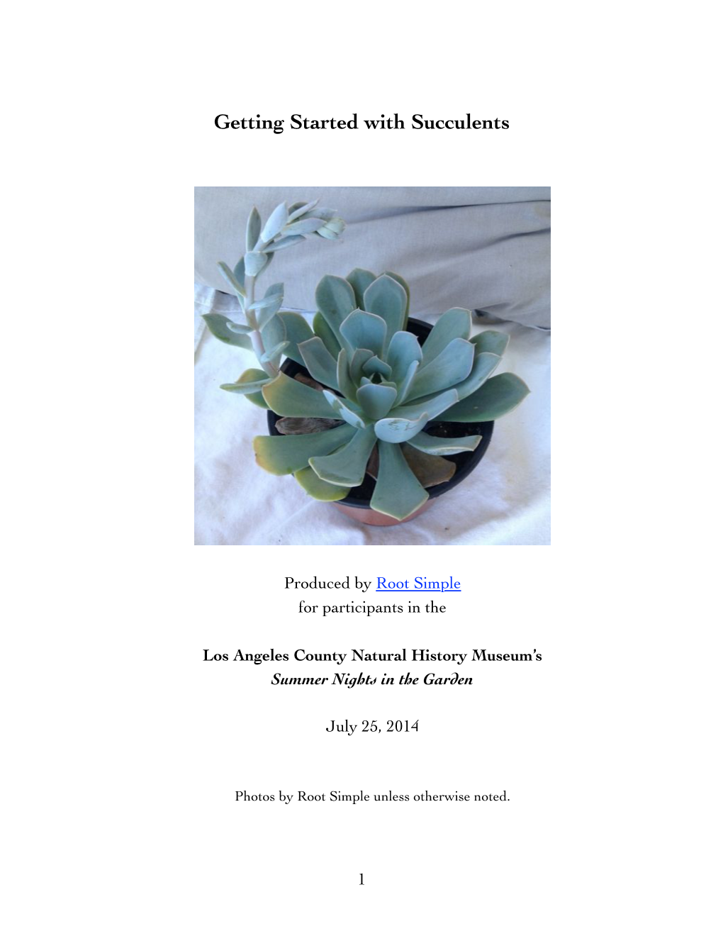 Succulent Workshop