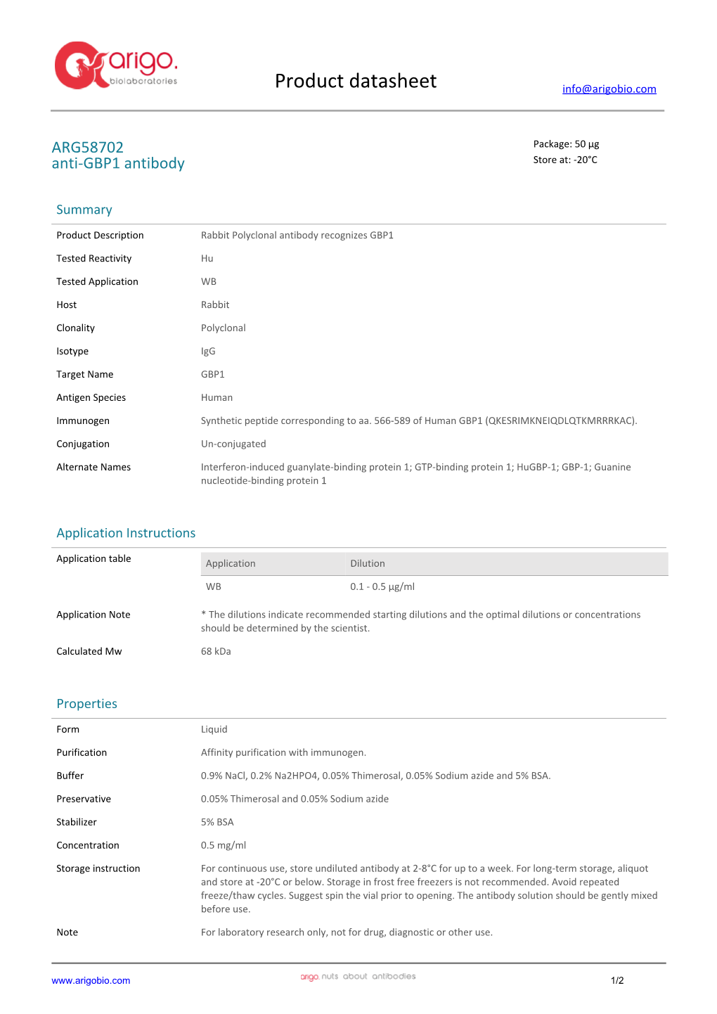 Anti-GBP1 Antibody (ARG58702)