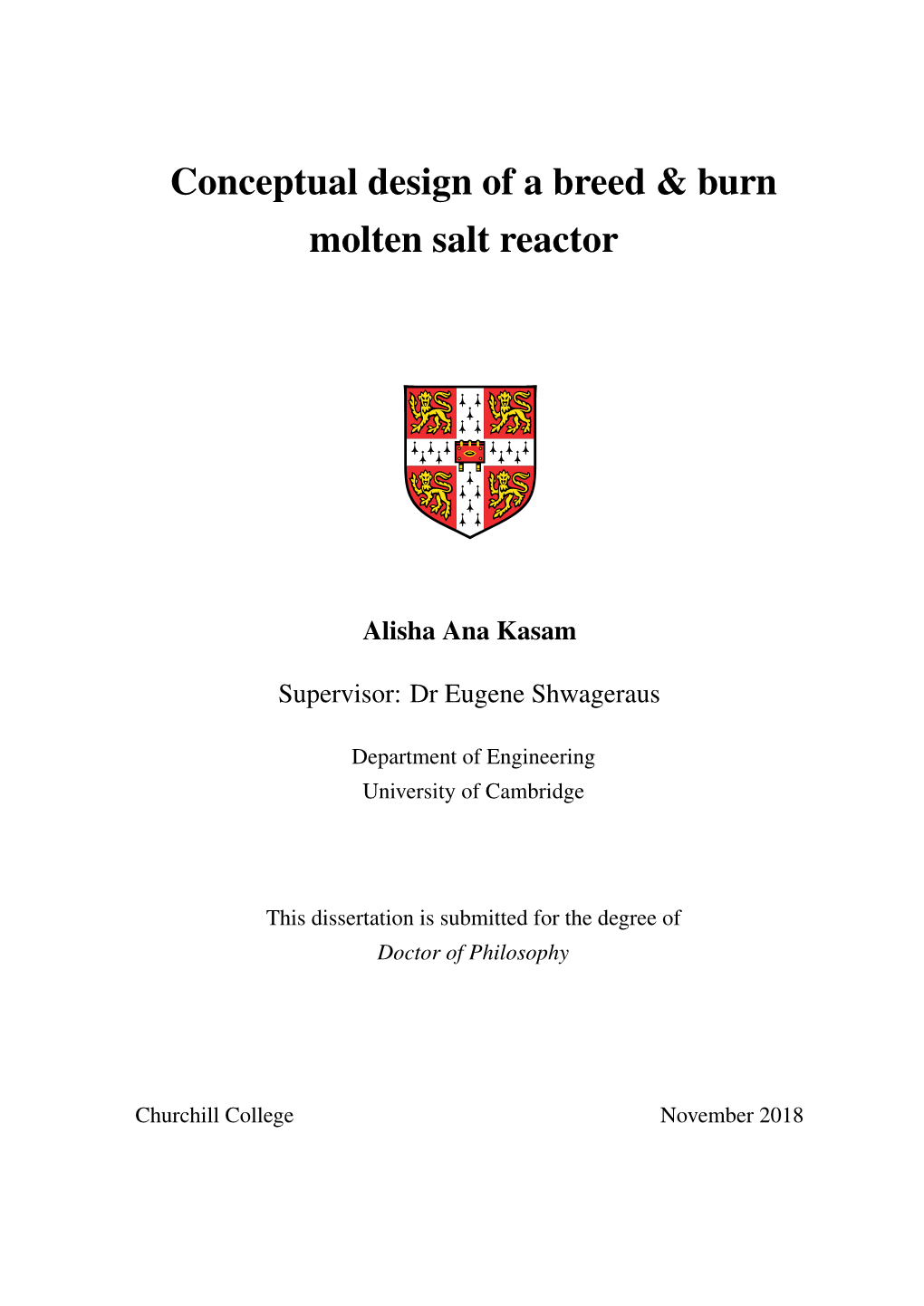 Conceptual Design of a Breed & Burn Molten Salt Reactor