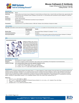 Mouse Cathepsin E Antibody Antigen Affinity-Purified Polyclonal Goat Igg Catalog Number: AF1130