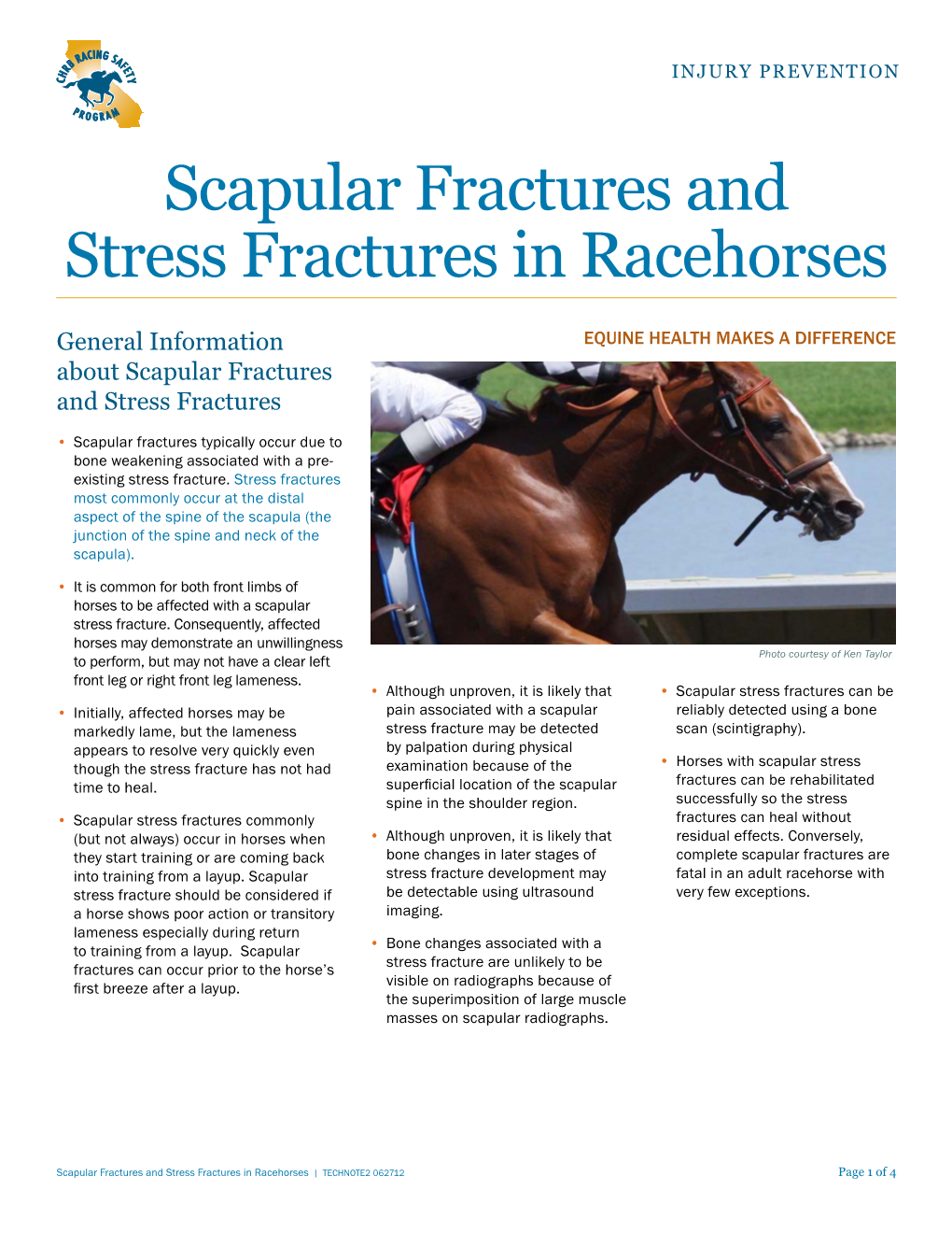 Scapular Fractures Technical Notes (Pdf)
