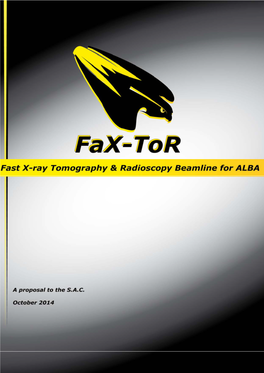 Fast X-Ray Tomography & Radioscopy Beamline For