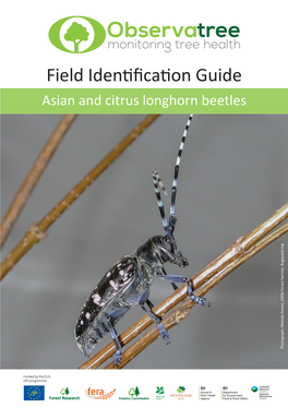 Asian and Citrus Longhorn Beetles Field ID Guide