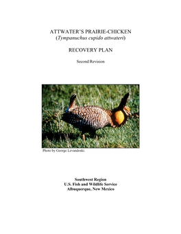 Attwater's Prairie-Chicken