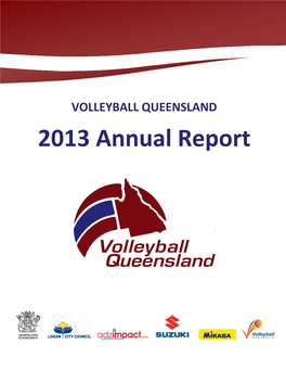 2013 Annual Report