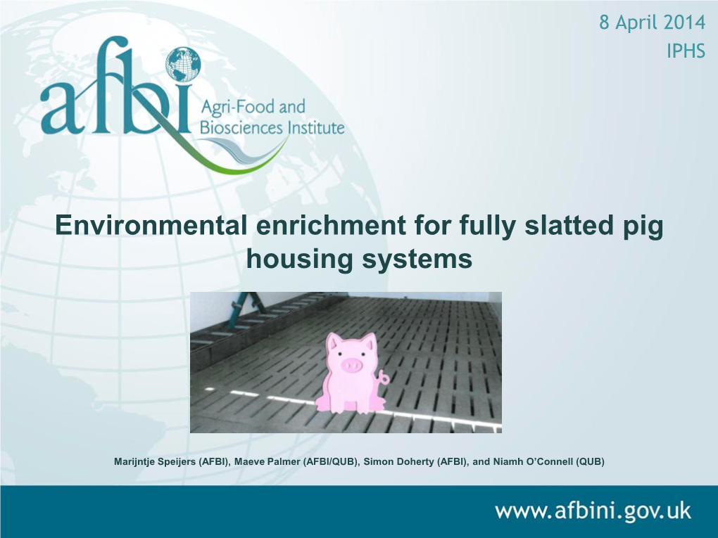 Environmental Enrichment for Fully Slatted Pig Housing Systems