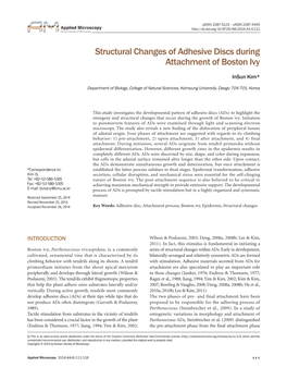 Structural Changes of Adhesive Discs During Attachment of Boston Ivy