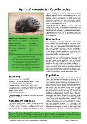 Hystrix Africaeaustralis – Cape Porcupine