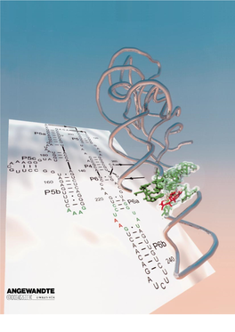 Tertiary Motifs in RNA Structure and Folding
