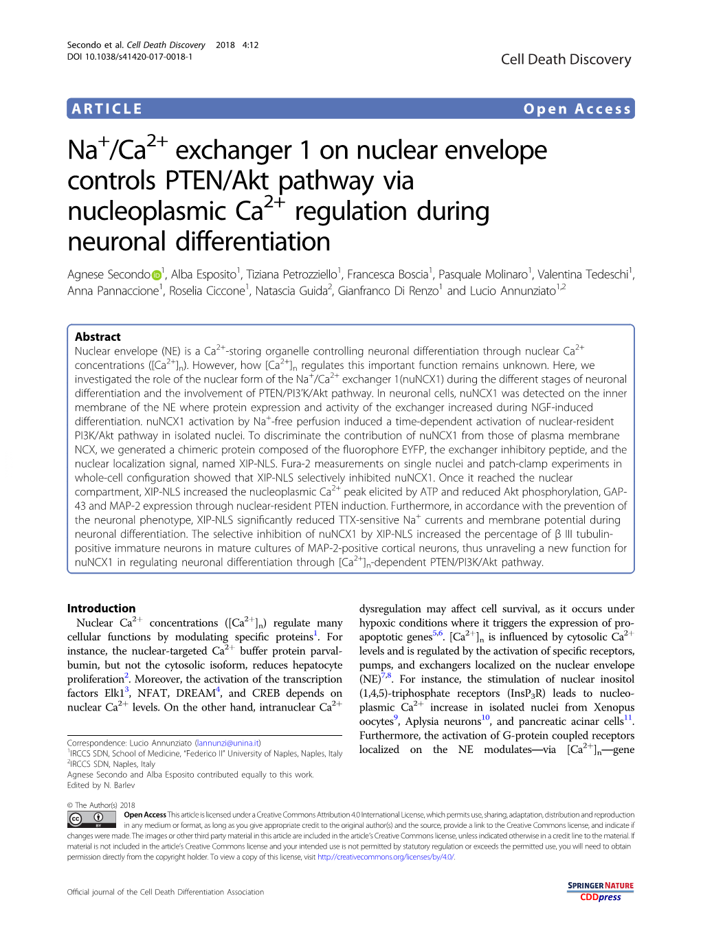 Na+/Ca2+ Exchanger 1 on Nuclear Envelope Controls PTEN/Akt Pathway Via Nucleoplasmic Ca2+ Regulation During Neuronal Differentia