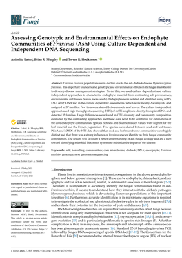 Assessing Genotypic and Environmental Effects on Endophyte Communities of Fraxinus (Ash) Using Culture Dependent and Independent DNA Sequencing