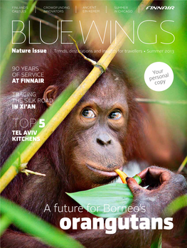 A Future for Borneo's Orangutans
