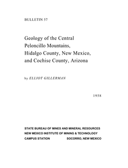 Geology of the Central Peloncillo Mountains, Hidalgo County, New Mexico, and Cochise County, Arizona