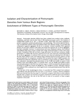 Isolation and Characterization of Postsynaptic Densities from Various Brain Regions: Enrichment of Different Types of Postsynaptic Densities